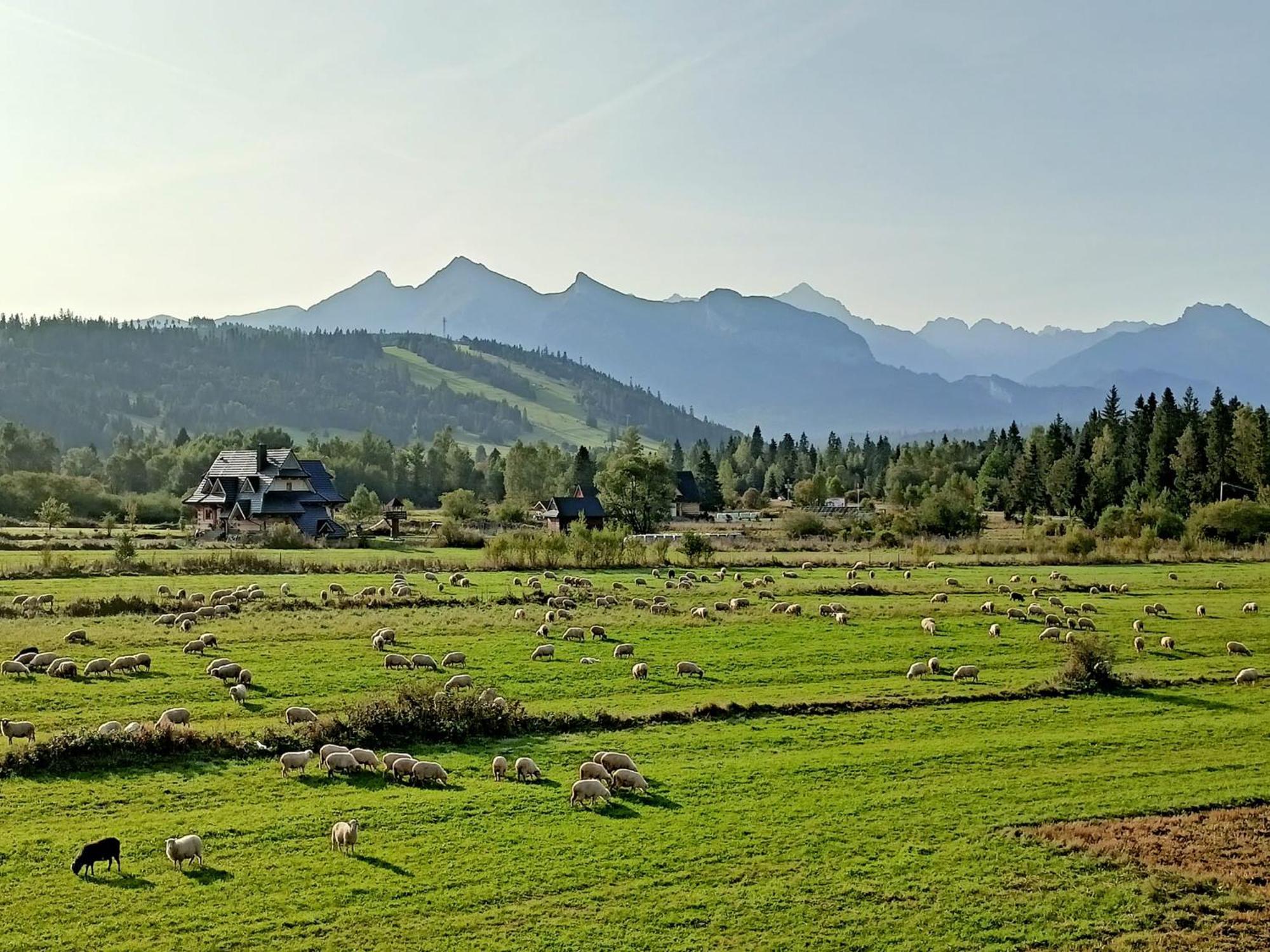 Domek Z Goralska Dusza Sleboda Jurgów Kültér fotó